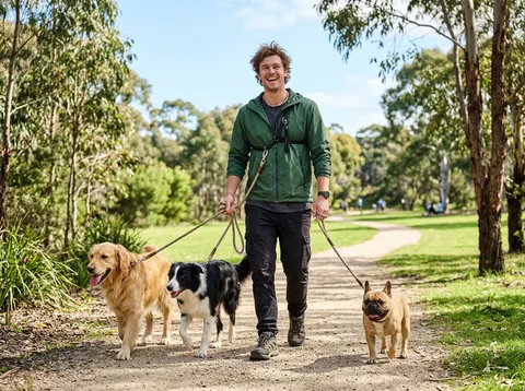 AI call answering for dog walking & pet sitting