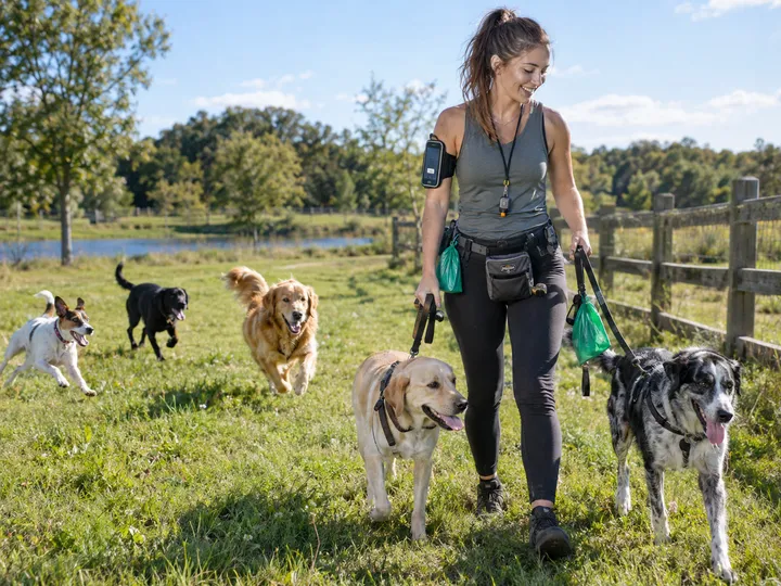 Dog walker on group walk while AI handles incoming call