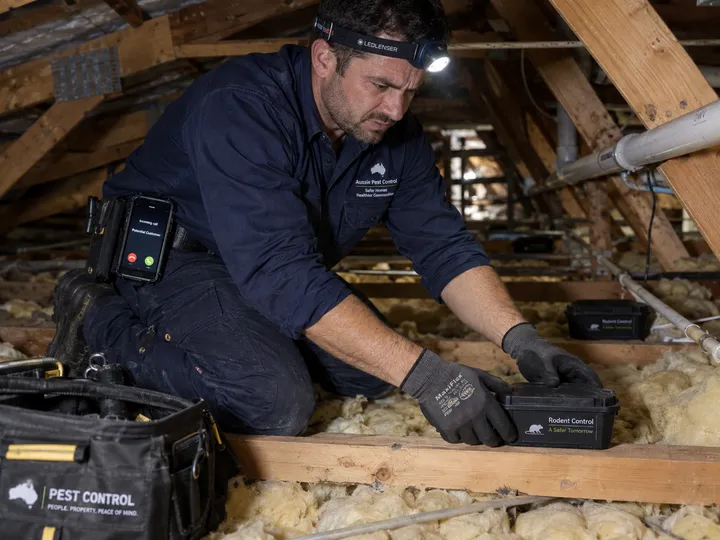 Pest controller unable to answer phone while doing a termite treatment under a house