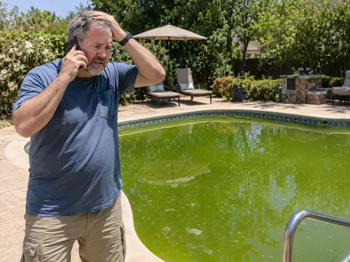 Homeowner urgently calling about green algae-filled pool