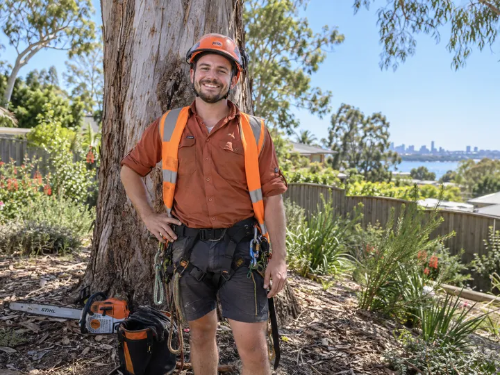 Arborists using Hey Jodie AI answering service