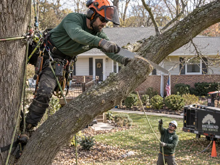Tree service worker at height while AI handles incoming call