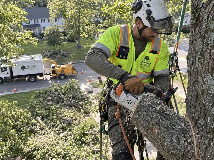 Tree service worker unable to answer phone while working at height