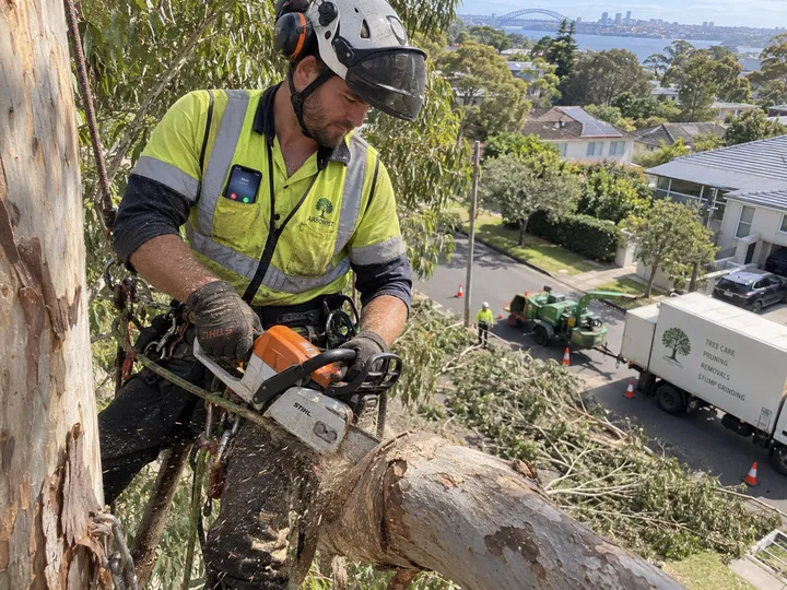 Arborist unable to answer phone while working at height