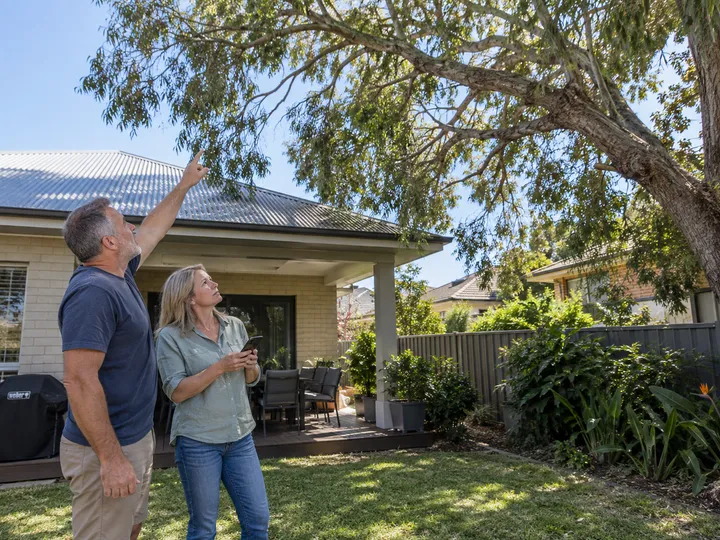 AI receptionist capturing tree removal quote details