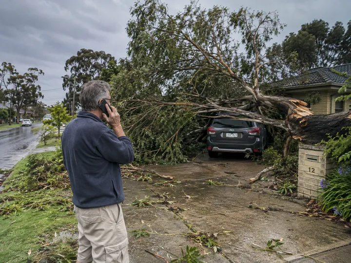 Homeowner calling about storm damage from a fallen gum tree branch
