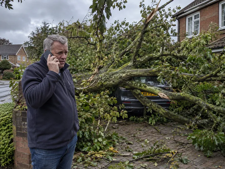 Homeowner calling about storm damage from a fallen tree branch