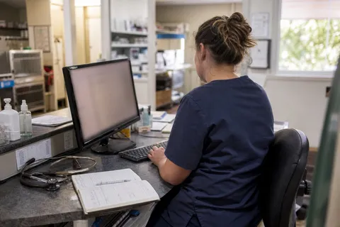 A veterinary nurse checking the day's appointments on the front-desk computer.